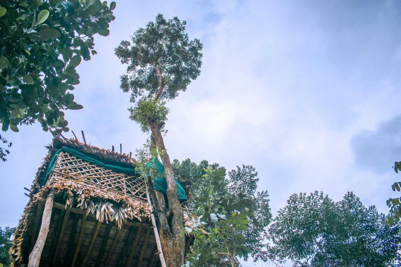 Serenity Panchalimedu Pirmed Luaran gambar